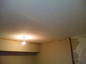天井を塗装しました。